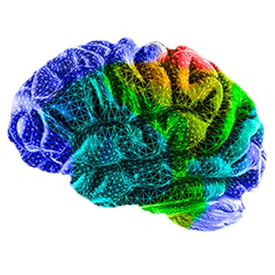 Brain1-Hell.webp__PID:dcdbd8ad-7f27-4907-848f-31d8412cca8f