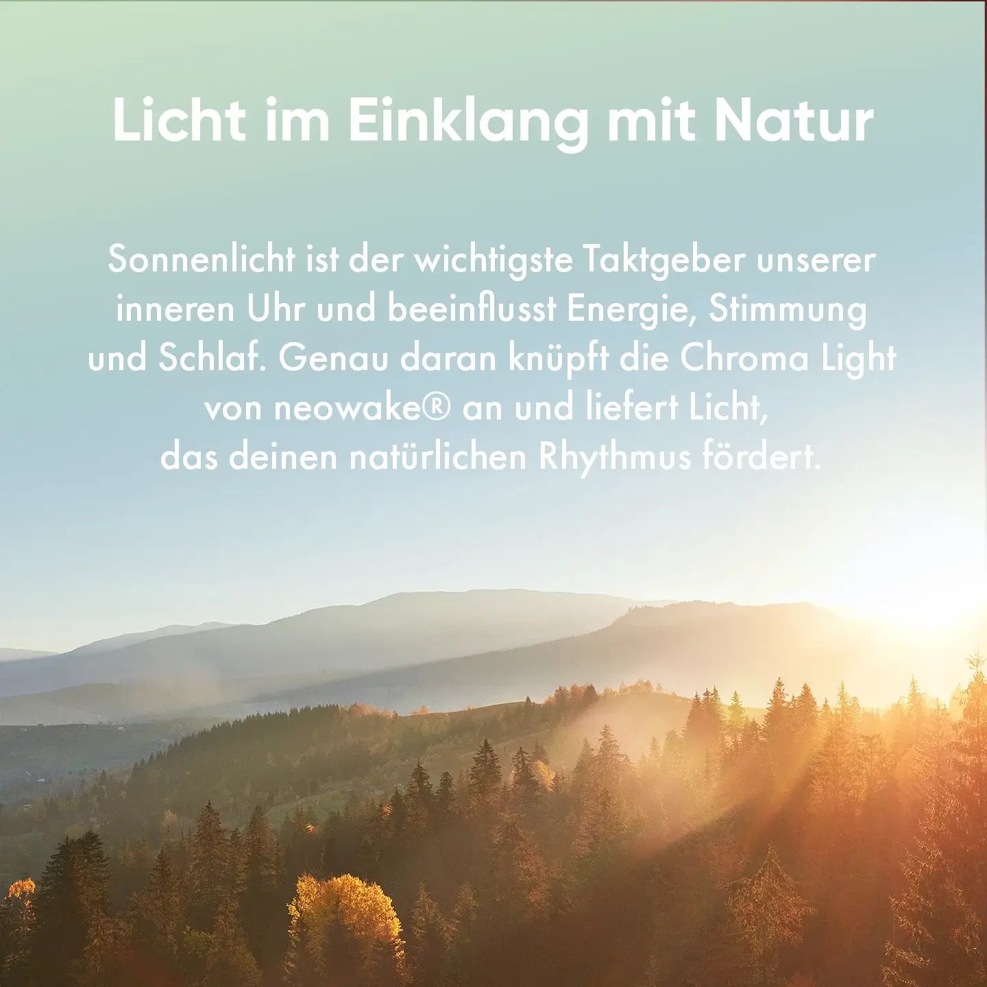 Sonnenaufgang als natürliches Vorbild für das Lichtspektrum der neowake Chroma Light