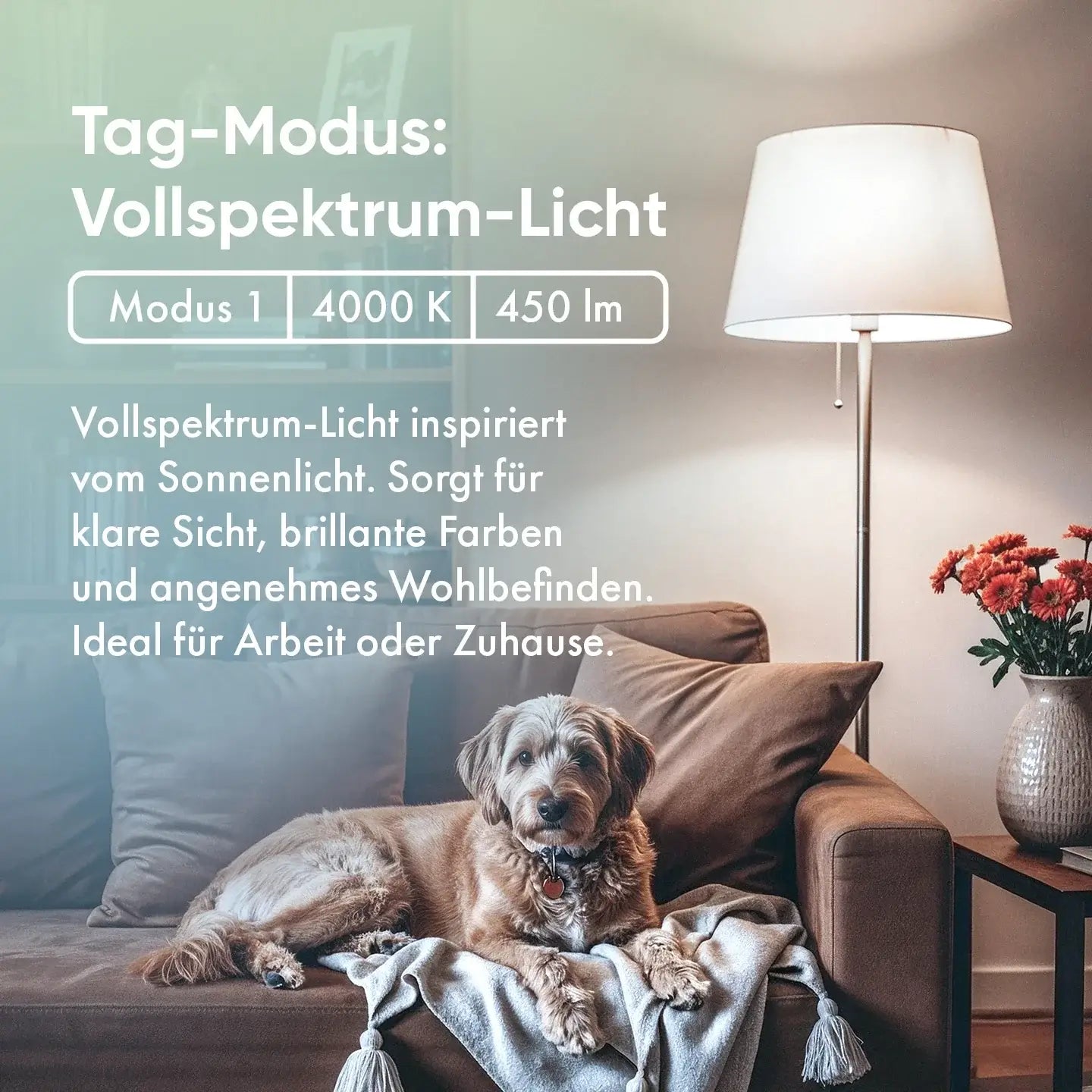 Tag-Modus der neowake Chroma Light mit Vollspektrum-Licht bei 4000 Kelvin und 450 Lumen