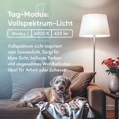 neowake® Chroma Light