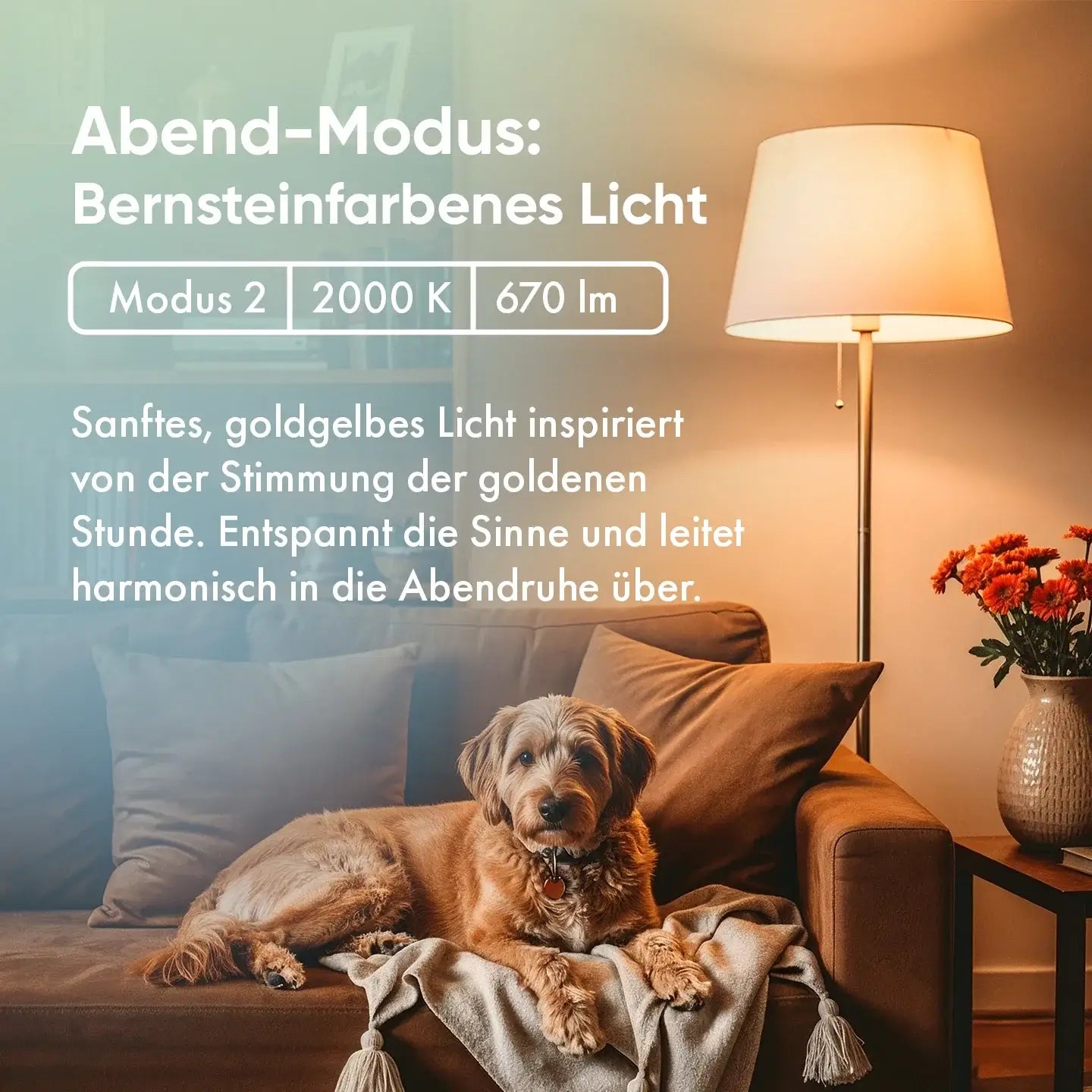 Abend-Modus der neowake Chroma Light mit bernsteinfarbenem Licht bei 2000 Kelvin und 670 Lumen