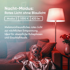 neowake® Chroma Light