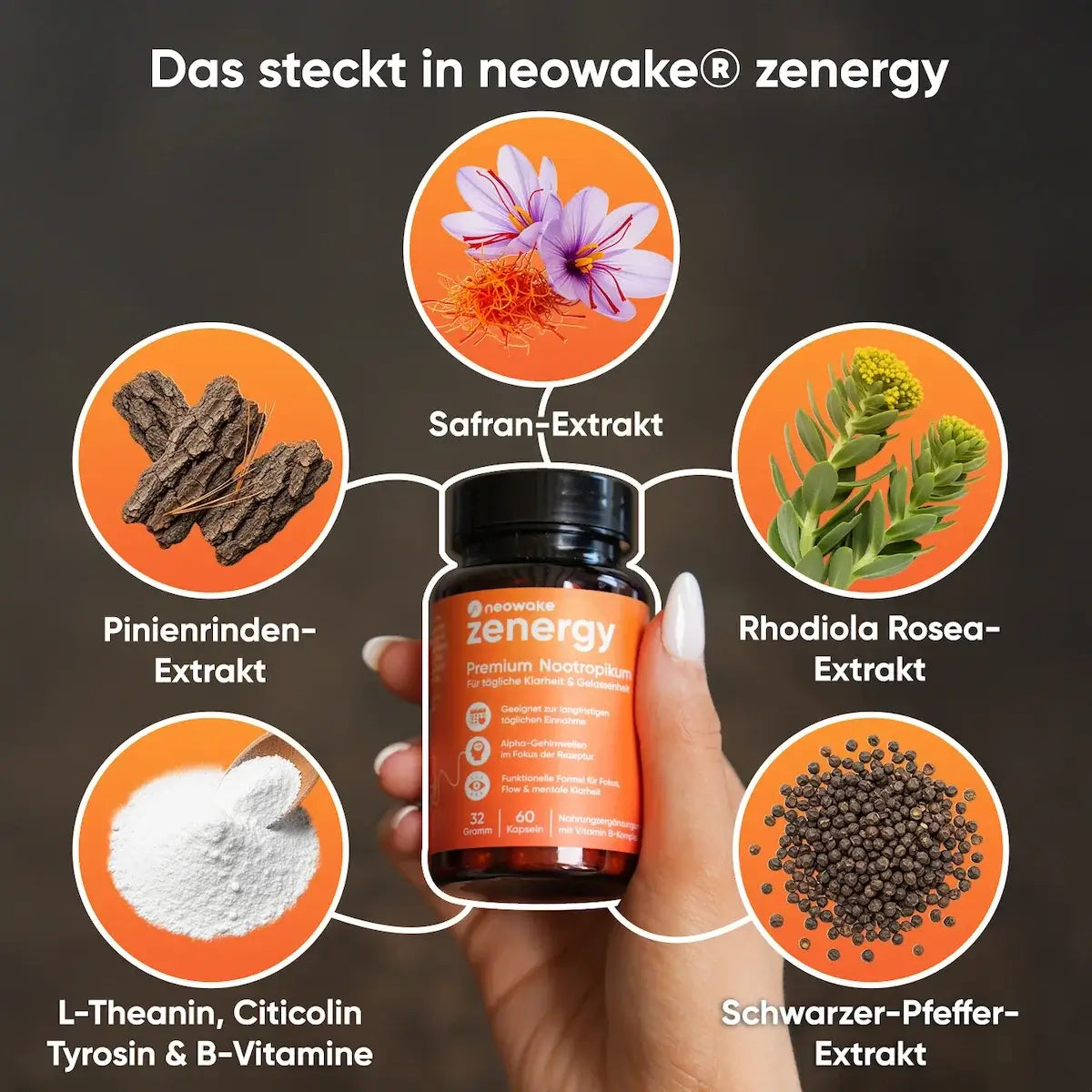 Inhaltsstoffe von neowake zenergy: Safran, Rhodiola Rosea, Pinienrinde, L-Theanin, Citicolin und B-Vitamine