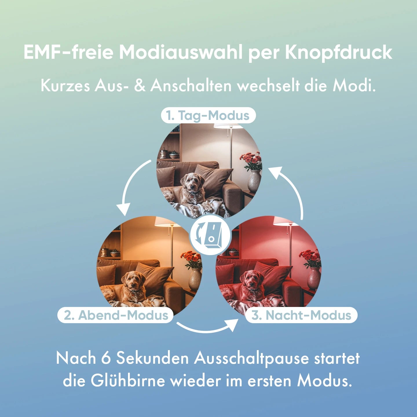 neowake® Chroma Light