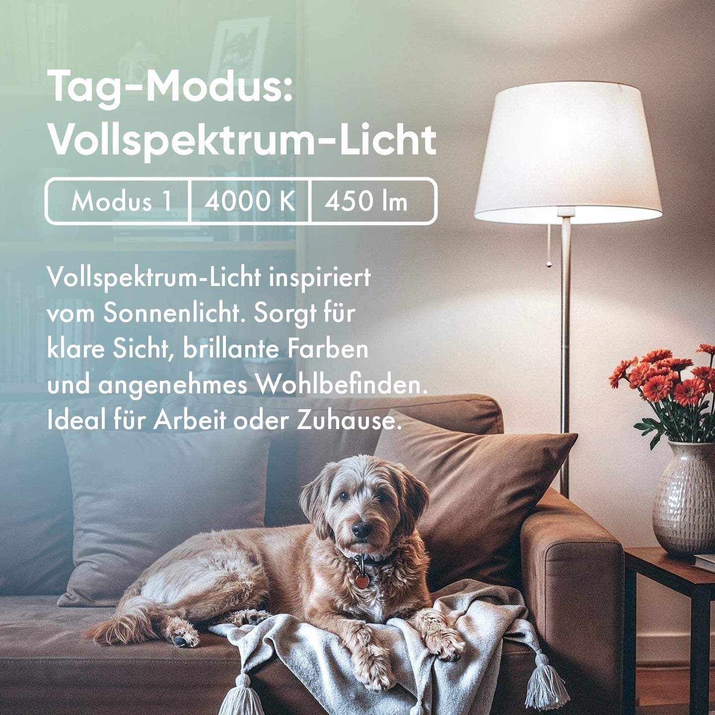 neowake® Chroma Light