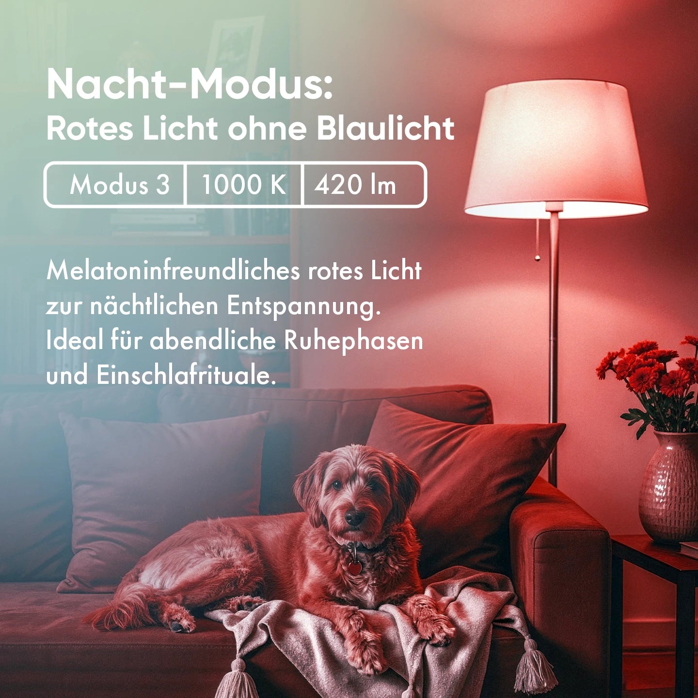 neowake® Chroma Light