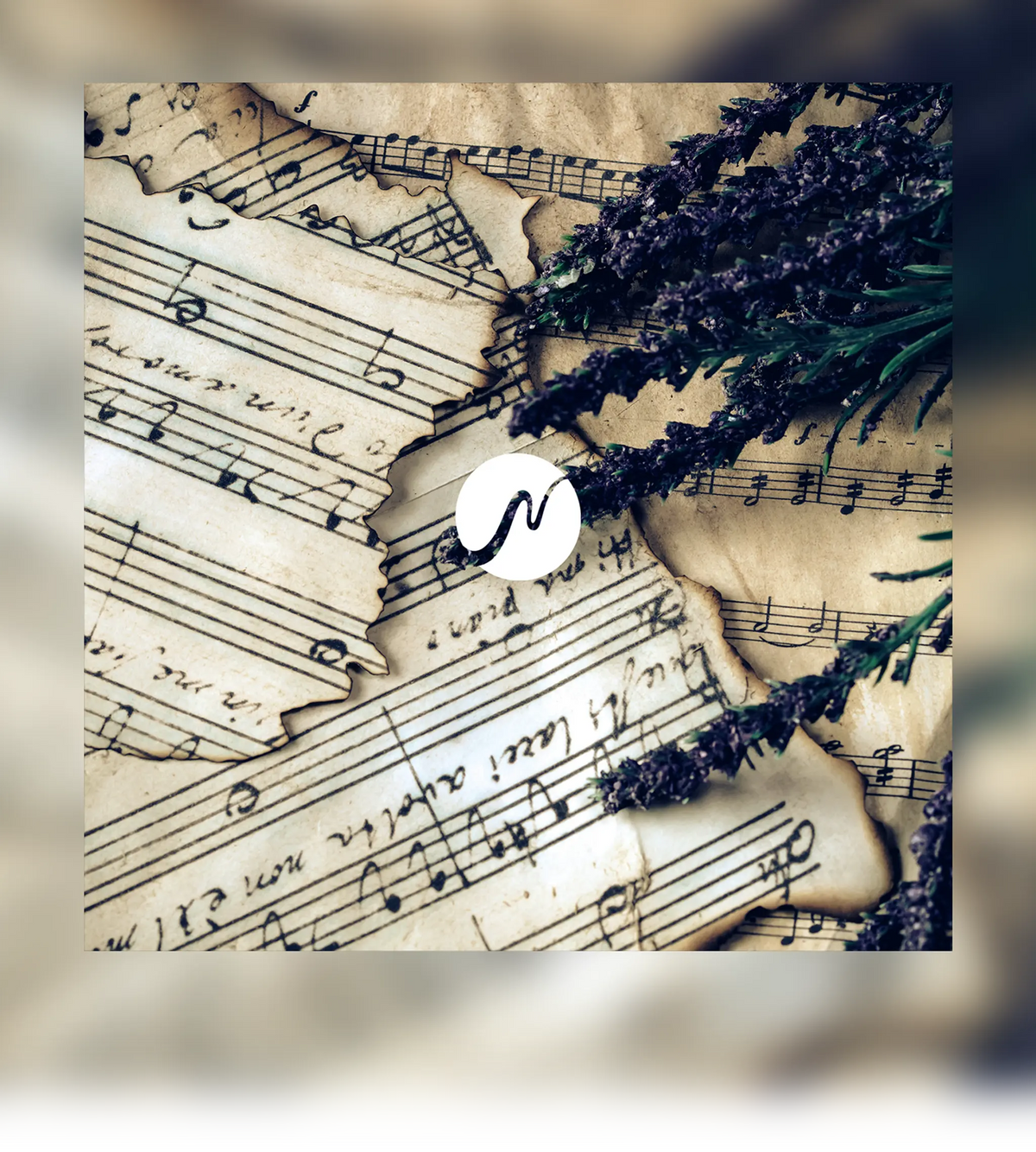 Harmonic.webp__PID:1e7a89c6-6b71-4eb4-80ac-15c6ea47d4e6