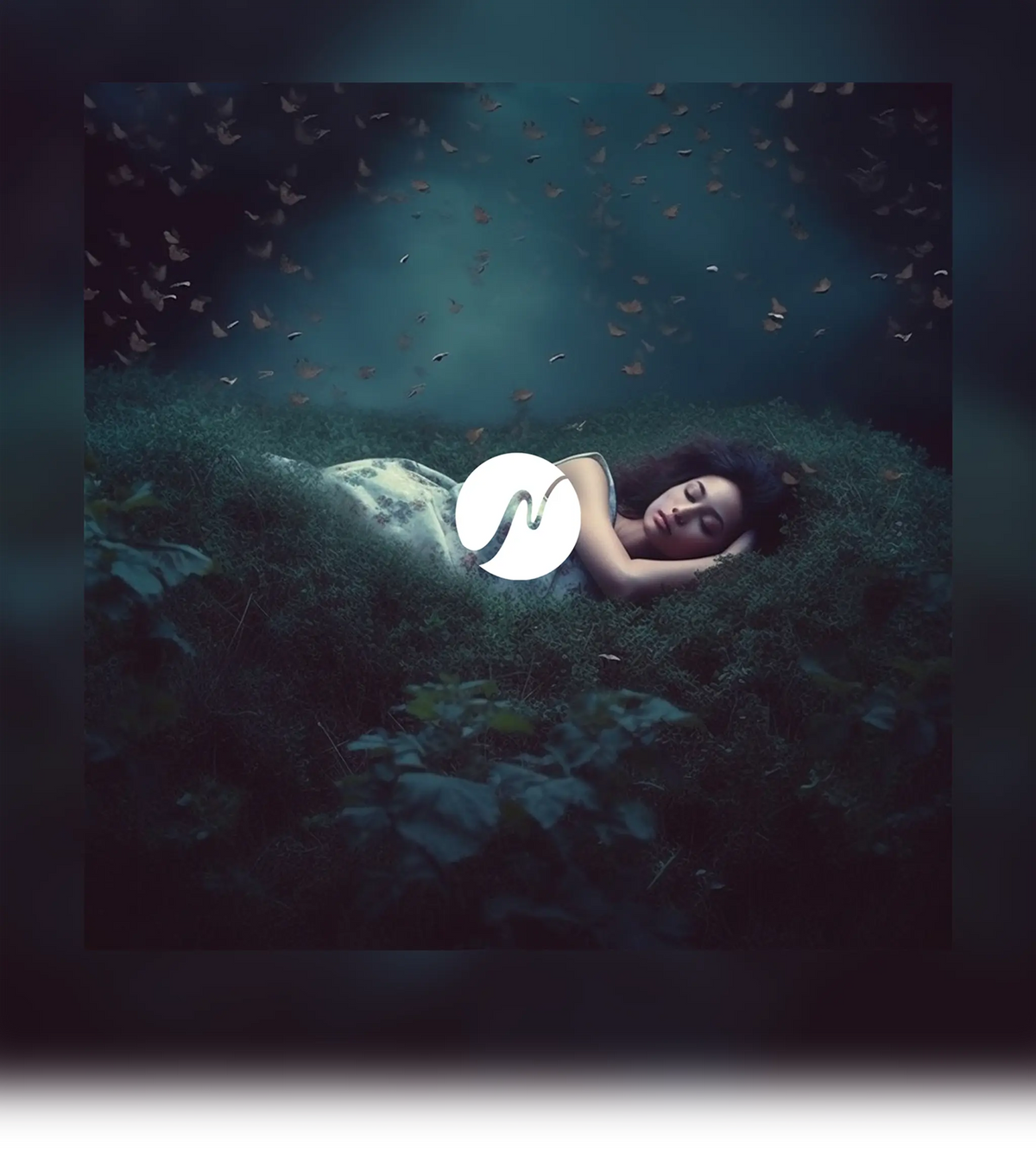 SleepAmbience.webp__PID:3efae6c3-1e7a-49c6-ab71-1eb440ac15c6