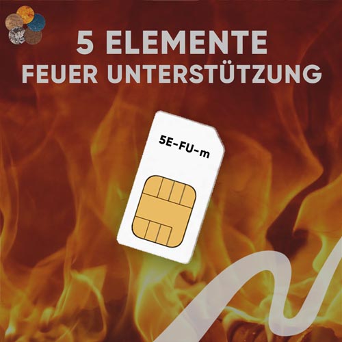 Feuer Unterstützung Chipkarte - 5 Elemente