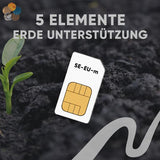 Erde Unterstützung Chipkarte - 5 Elemente